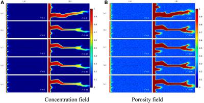 Numerical Study of Reactive Flow in Fractured Carbonate Rock